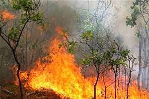 مهار آتش‌ در جنگل‌های چگنی و خرم‌آباد