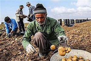 سه اشتباه دولت روحانی در بخش کشاورزی