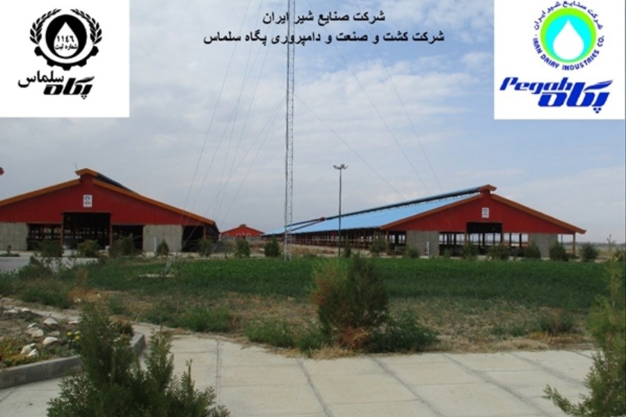 تصویر حمایت بانک کشاورزی از راه اندازی گاوداری شیری در استان آذربایجان غربی