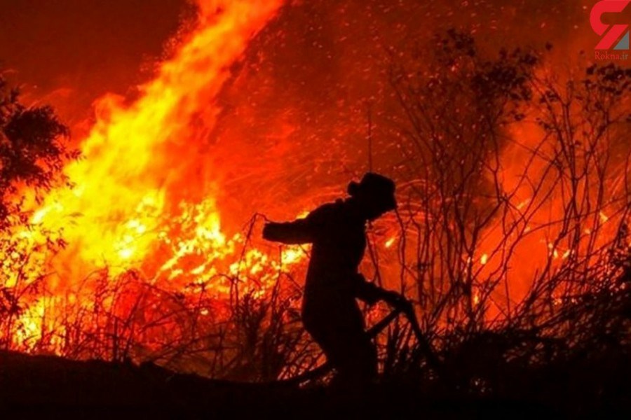 تصویر تلاش آتش نشان ها برای مهار آتش سوزی جنگل های آمریکا