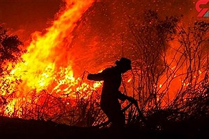 تلاش آتش نشان ها برای مهار آتش سوزی جنگل های آمریکا