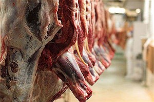 افت 50 درصدی سرانه مصرف گوشت قرمز