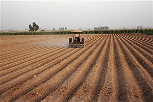 اولویت­‌های بخش کشاورزی در دولت آینده
