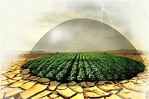 شرط توسعه کشاورزی کشور در بحران آب چیست؟