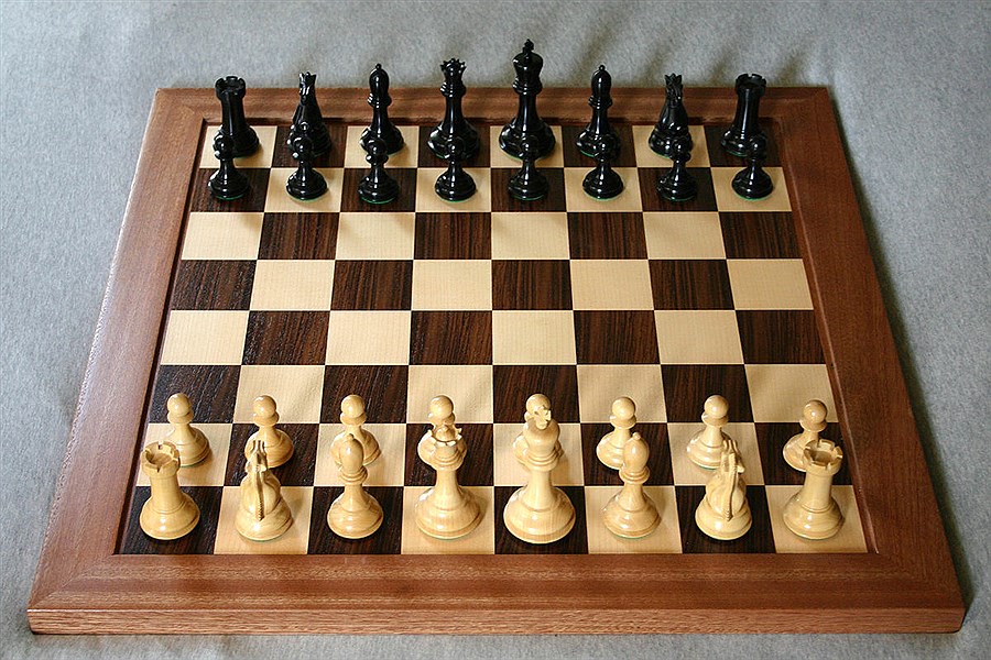 تصویر امیر عرفان هاشمی سرپرست دبیری فدراسیون شطرنج شد