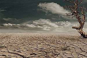 خسارت چهل هزار میلیارد ریالی خشکسالی به بخش کشاورزی و منابع طبیعی