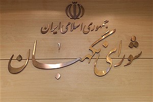 شورای نگهبان گزارش ۴۹۷۴ تخلف انتخاباتی راتایید کرد