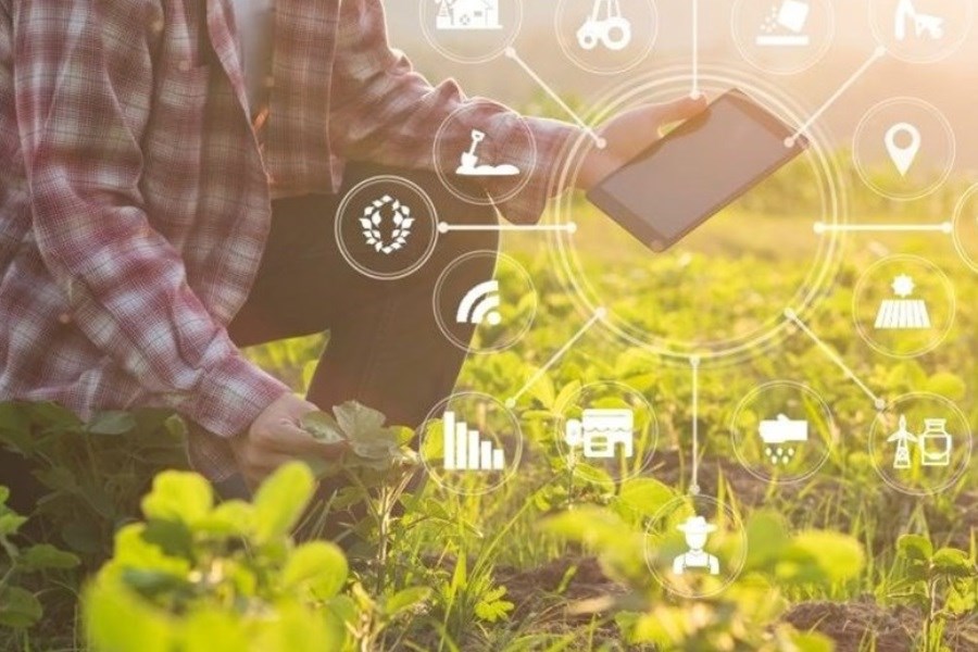 تصویر نتایج مثبت دیجیتالی شدن کشاورزی چیست؟