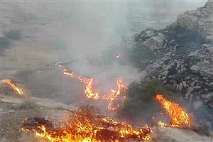 مهار  آتش سوزی در منطقه جنگلی پیرداود ورزقان