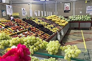 گران‌ترین و ارزان‌ترین میوه ها در بازار