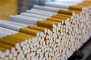 کشف نزدیک به ۳۰۰ هزار نخ سیگار قاچاق در عجب‌شیر آذربایجان شرقی