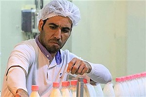 مخالفت دامداران با افزایش قیمت شیرخام