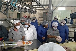 آغاز طرح طرح بهبود کیفیت بهداشتی گوشت مرغ در گلستان