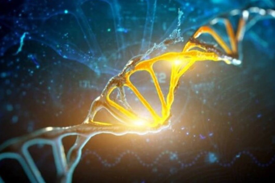 آیا ژن‌ها طول عمر را تعیین می‌کنند؟
