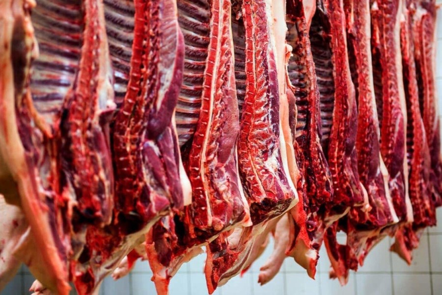 آیا قیمت گوشت قرمز در تابستان افسار پاره می‌کند؟