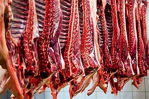 آیا قیمت گوشت قرمز در تابستان افسار پاره می‌کند؟