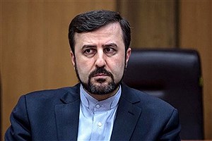 نماینده دائم ایران در وین خواستار رفع تحریم ها شد