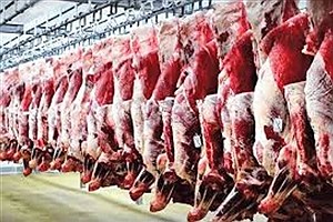 خروج ۱۴ هزار کیلوگرم گوشت از چرخه مصرف در خوزستان
