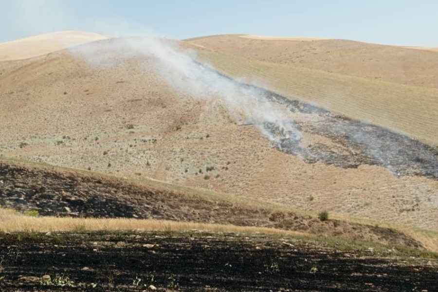 تصویر آتش سوزی در منطقه حیدرلوی ارومیه مهار شد&#47;2.5 هکتار از مزارع دیم طعمه آتش شد