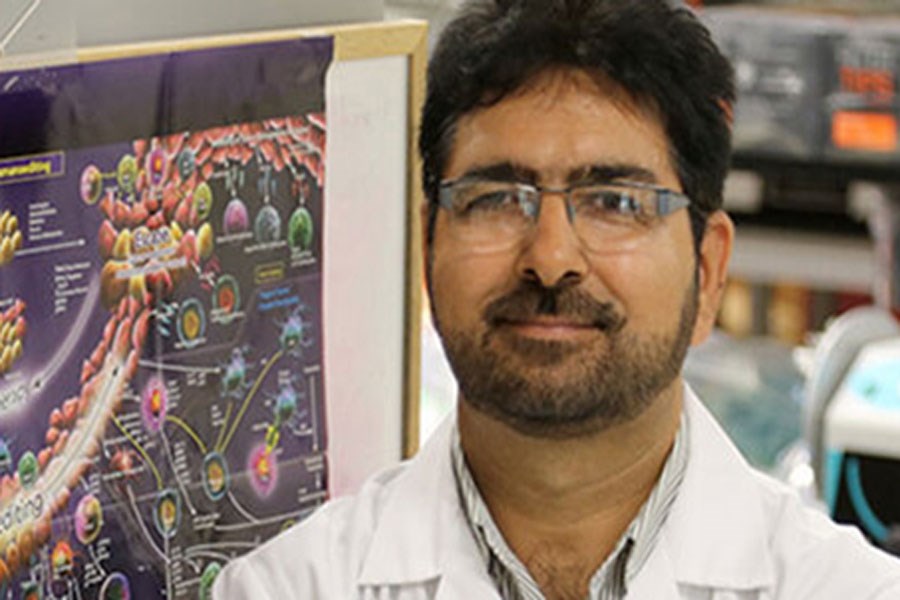 روش درمانی دانشمند ایرانی برای سرطان پستان
