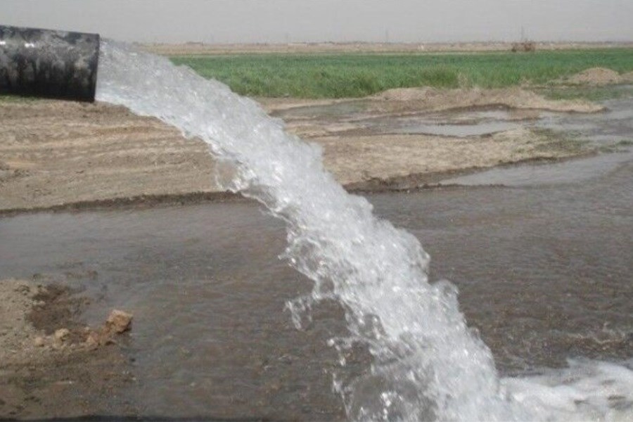 خطرکاهش کیفیت آب‌های زیر زمینی برای کشاورزان بوشهر