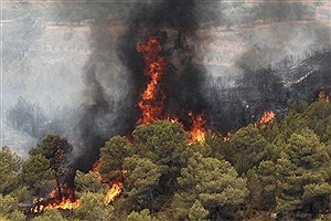 ۵۰۴ هکتار از مراتع کردستان در آتش سوخت