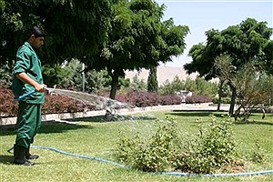 استفاده از آب شرب برای آبیاری فضای سبز تهران ممنوع است