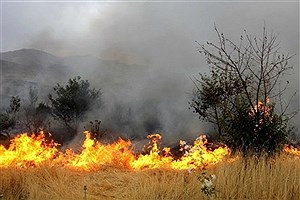 آتش‌سوزی مراتع استان زنجان کاهش چشمگیر یافت