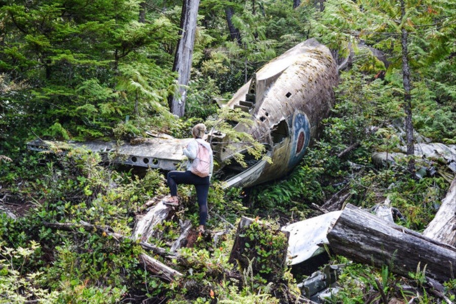 تصویر سقوط مرگبار هواپیمای نظامی با ۸۵ سرنشین