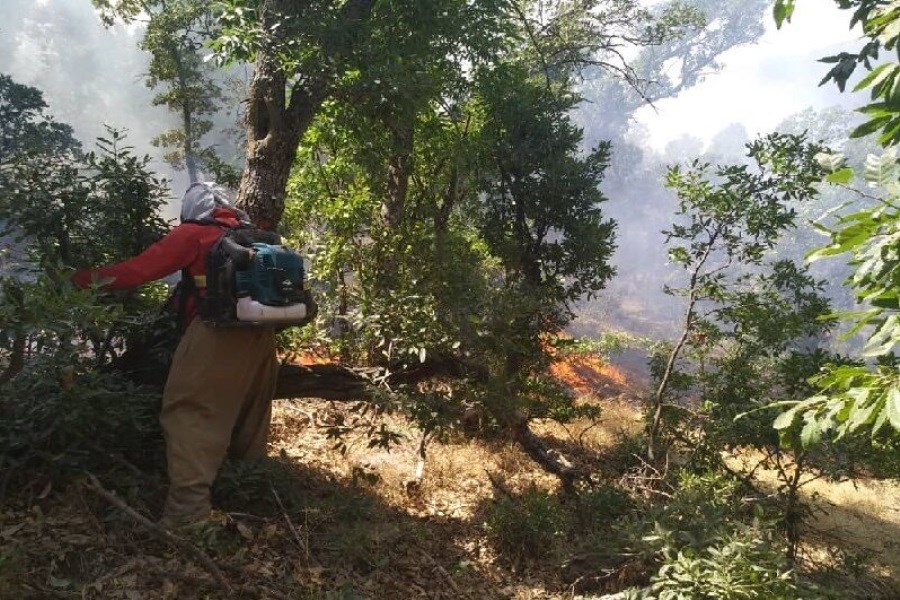 تصویر آتش‌سوزی جنگل «دوله‌بید» مریوان از آن سوی مرز سرایت کرده بود