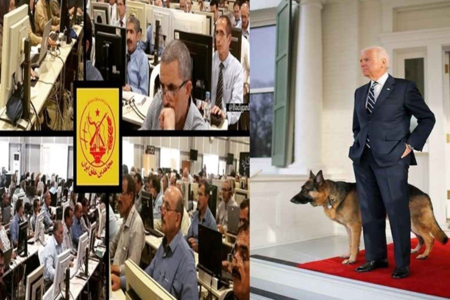 نگاهی کمیک به مرگ سگ بایدن در پرس تی وی