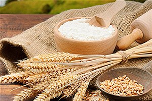 اختصاص پنج هزار تن گندم خارجی برای ارتقای کیفیت آرد