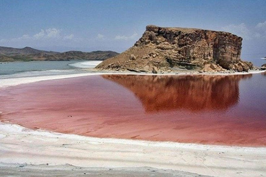 تصویر شکوفایی جلبکی دریاچه ارومیه را قرمز رنگ کرد
