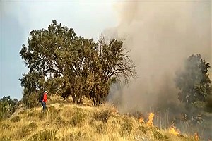 آتش سوزی در منطقه حفاظت شده &quot;خامی&quot; گچساران
