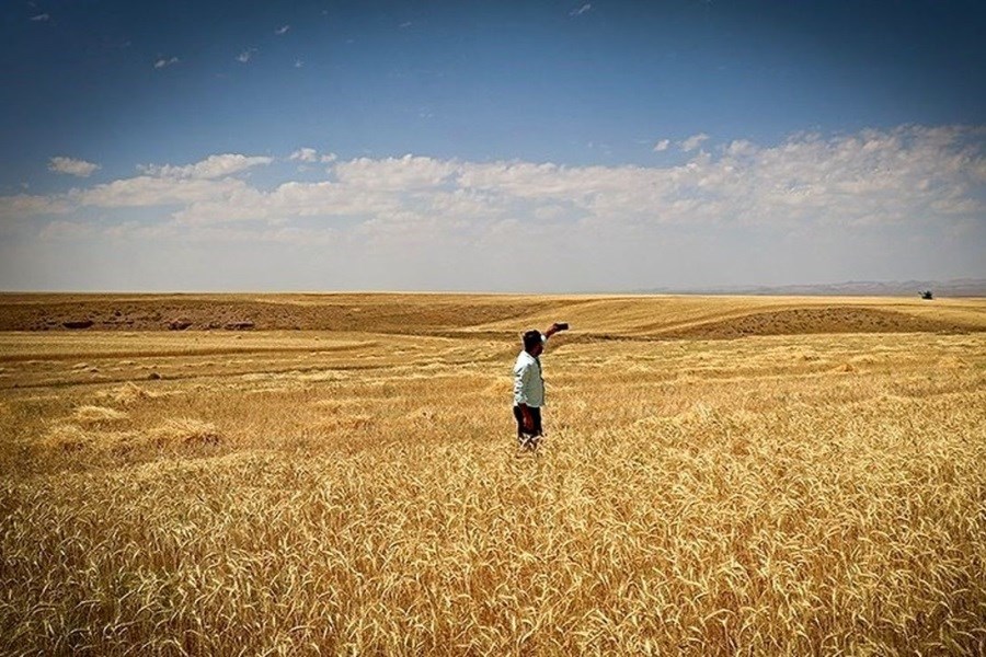 گلایه‌ کشاورزان کردستانی از عدم حمایت‌های دولت از نگاه دوربین پرسون