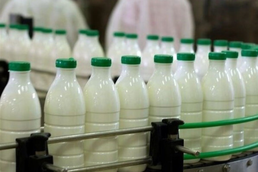 افزایش قیمت شیرخام برای حفظ تولید بود
