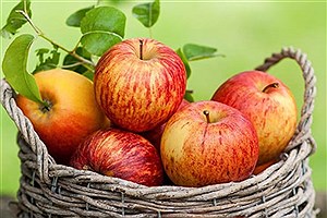 میزان واردات موز و صادرات سیب کشور