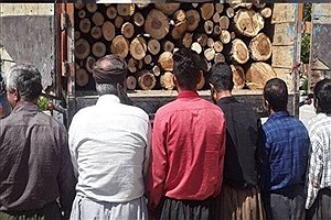 دستگیری عاملان قطع درختان جنگلی در حسین‌آباد