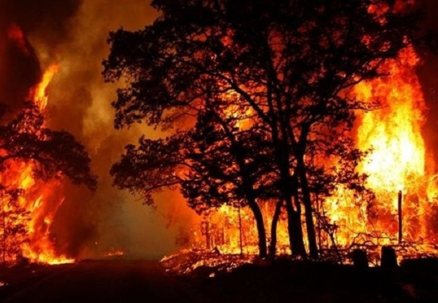 تصویر آتش‌سوزی‌ های زنجیره‌ای جنگل‌ها