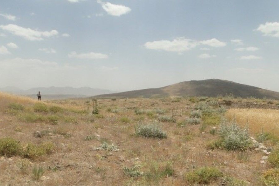 تصویر ابلاغ مراتب ثبت ملی ۷ تپه و یک محوطه تاریخی به استاندار لرستان