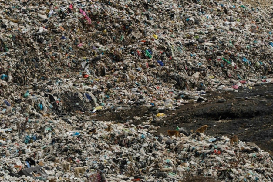 تصویر جاخوش کردن زباله در پیشانی سرسبز گیلان؛ بحرانی که رفع آن همت جدی می‌طلبد
