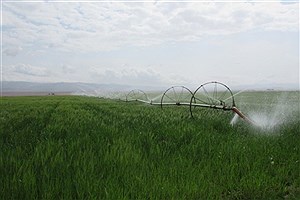هزینه 133 میلیارد تومانی برای مدیریت آب قم در بخش کشاورزی