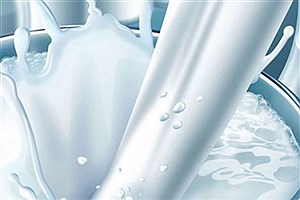 شرایط صادرات کره و شیرخشک اعلام شد