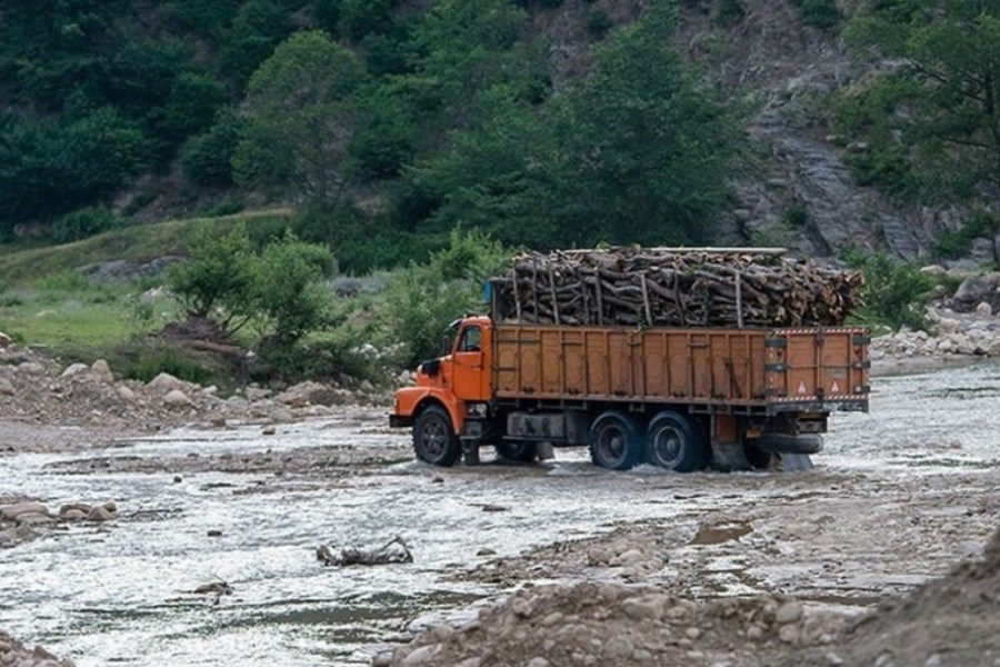 مازندران و سوءاستفاده قاچاقچیان چوب از سیلاب