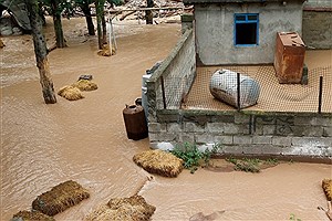 فرمانداران از سیلاب اخیر در شهرستان‌های زنجان گزارش دادند
