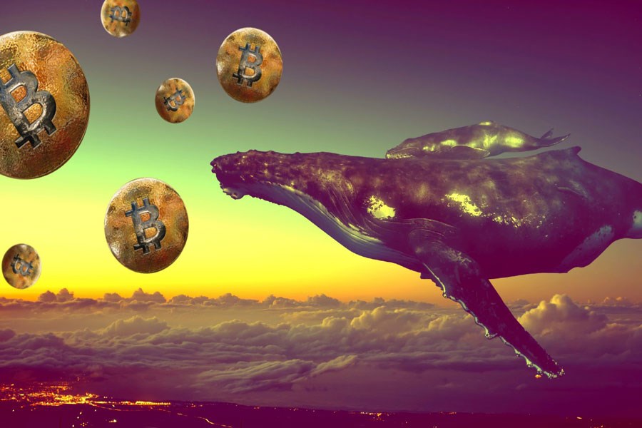 تصویر انتقال 1,700,000,000 دلار بیت کوین توسط نهنگها