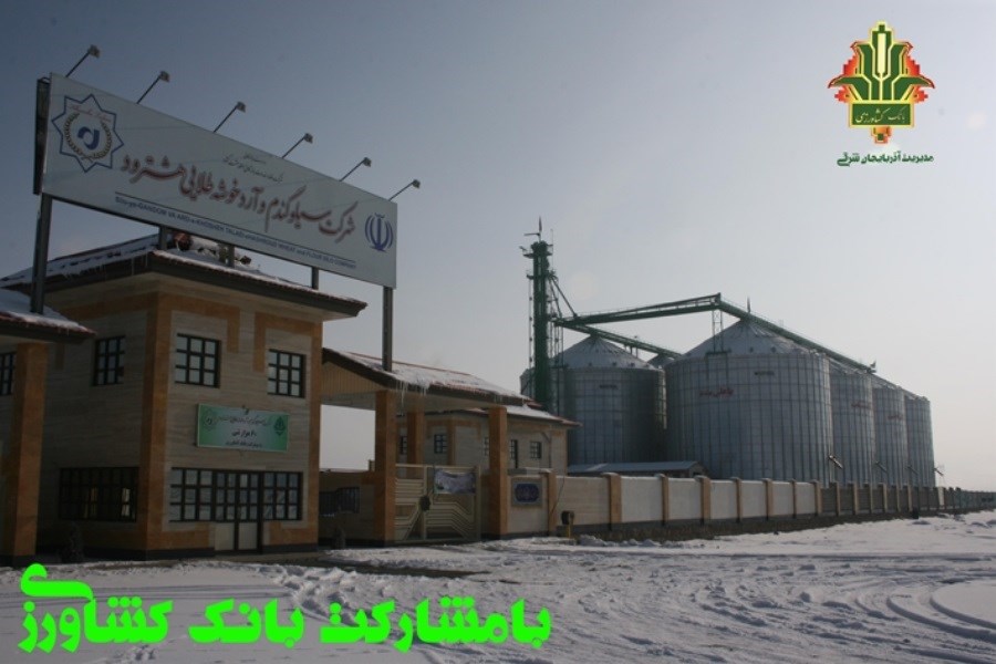 واریز 93 درصد وجوه گندم خریداری شده در استان آذربایجان شرقی