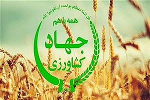 مدیران جهاد کشاورزی شهرستان‌های کرمانشاه و صحنه برکنار شدند