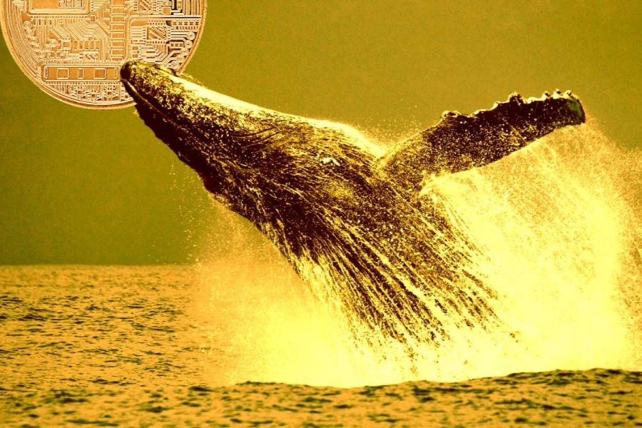 سود 500 هزار دلاری یک نهنگ از معاملات بدون جابجایی بیت کوین یا اتریوم