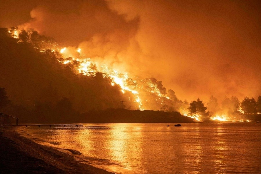 تصویر آتش سوزی جنگل‌ها فاجعه زیست محیطی بود